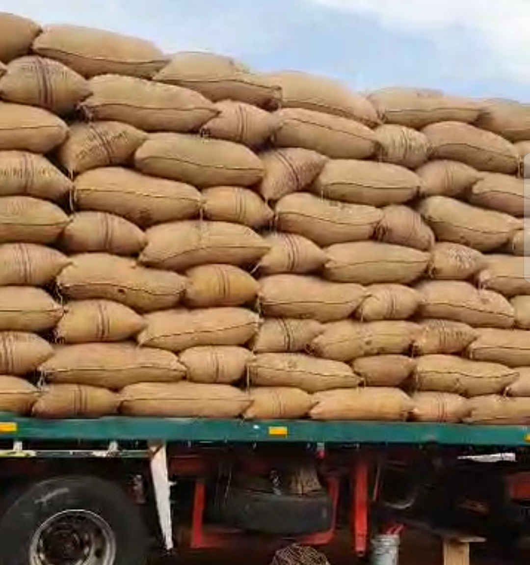 Cargo with Load