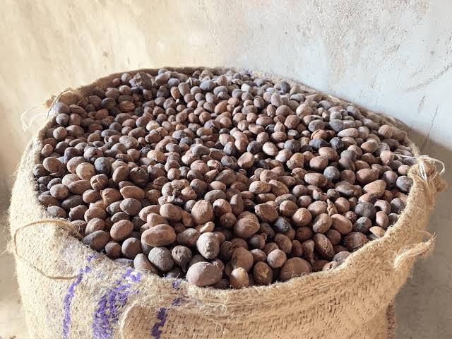 Sheanuts packaged in sacks